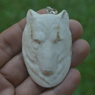 Wolf Head Carving 56x38mm Pendant P3682 W/ Silver In Antler Hand Carved