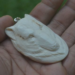 Wolf Head Carving 56x38mm Pendant P3682 w/ Silver in Antler Hand Carved 4