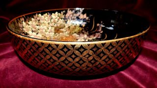 Vintage Shibata (japan) Ceramic Bowl - Twin Dragonfly - Black / Gold 225mm Dia