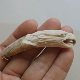 Eagle Head Pendant,  Eagle Carving From Deer Antler Carving W Silver Bail 011608