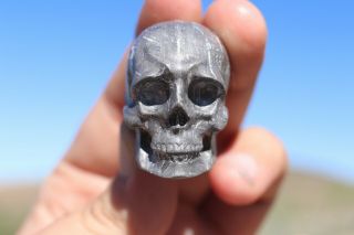 Gibeon Meteorite Skull 96.  1 grams ETCH 5