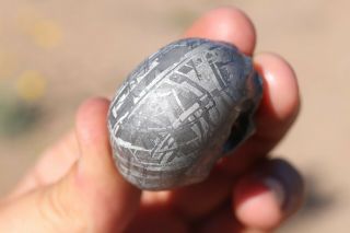 Gibeon Meteorite Skull 96.  1 grams ETCH 6