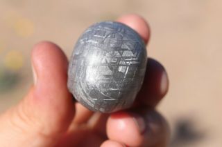 Gibeon Meteorite Skull 96.  1 grams ETCH 7