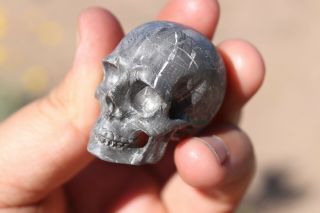 Gibeon Meteorite Skull 96.  1 grams ETCH 9