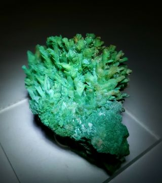 RARE - Green Kobyashevite & Gypsum on Calcite crystals,  Ojuela mine Mexico 2