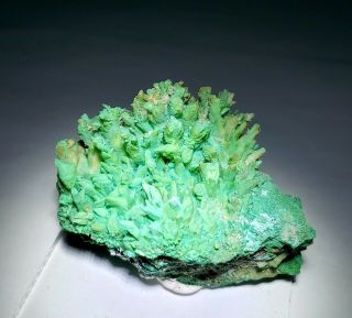 RARE - Green Kobyashevite & Gypsum on Calcite crystals,  Ojuela mine Mexico 3