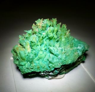 RARE - Green Kobyashevite & Gypsum on Calcite crystals,  Ojuela mine Mexico 4