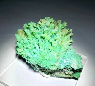 RARE - Green Kobyashevite & Gypsum on Calcite crystals,  Ojuela mine Mexico 5