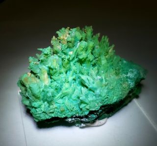 RARE - Green Kobyashevite & Gypsum on Calcite crystals,  Ojuela mine Mexico 6