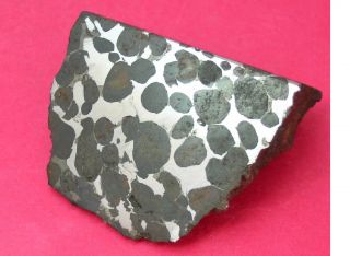 Sericho Pallasite Meteorite - 102.  7 Gram Polished Corner Cut