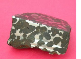 Sericho pallasite meteorite - 102.  7 gram polished corner cut 2