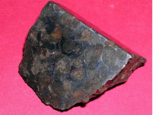 Sericho pallasite meteorite - 102.  7 gram polished corner cut 4