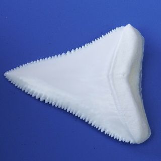 2.  145 inch Modern Great White Shark Tooth Megalodon Sharks Movie Fan BT70 4
