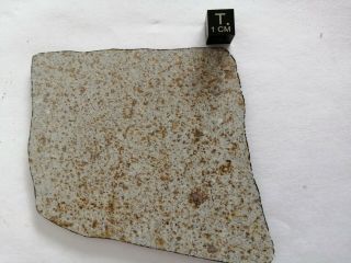 Fresh Ghadamis Meteorite Fall From Libya,  Propably L6,  Slice 60 Grams