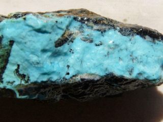 Rimrock: 68 Grams Natural Viking Mine Turquoise Rough