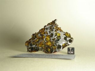 Meteorite Pallasite Seymchan,  Etched Part Slice 31,  5 G