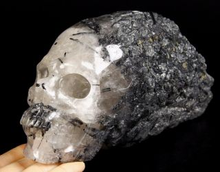 Giant 8.  3 " Tourmaline Carved Crystal Skull Sculpture,  Crystal Healing