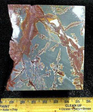 Z Sonoran Dendritic Rhyolite Faced Rough 13 lbs 6