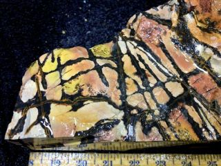 Z Indian Paint Stone Rough 9 Lbs 5
