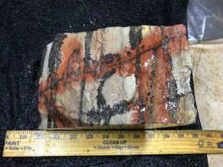 Z Indian Paint Stone Rough 14 Lbs 5
