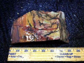 Z Indian Paint Stone Rough 3.  5 Lbs 2