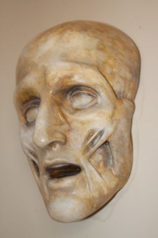 Death Mask Human Skull French Medical Anatomical Face Anatomy Oddity Gothic