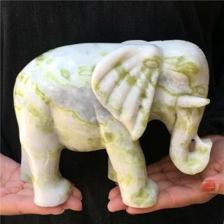 6.  6lb Natural Green Jade Elephant Skull Hand Carved Crystal Healing Totem 2284