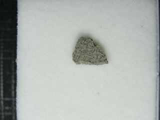 Meteorite - Zagami - Achondrite Martian Shergottite - Zagami - 0006 - 0.  09g Rare