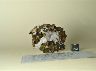 Meteorite Pallasite Seymchan,  Etched Part Slice 20,  5 G