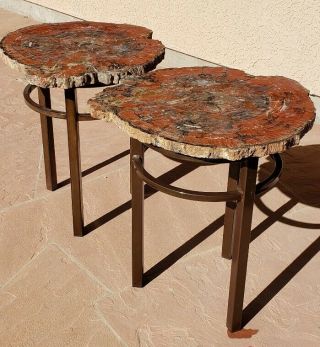 23 " Large Gem Quality Petrified Wood Matching End Tables Arizona Paulcell Ranch