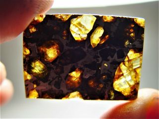Museum Quality Crystals Brahin Pallasite Meteorite 9.  1 Gms