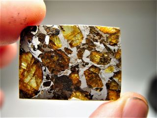 MUSEUM QUALITY CRYSTALS BRAHIN PALLASITE METEORITE 9.  1 GMS 2