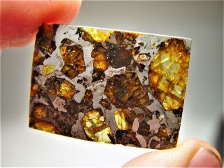 MUSEUM QUALITY CRYSTALS BRAHIN PALLASITE METEORITE 9.  1 GMS 3