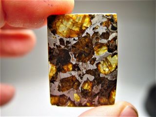 MUSEUM QUALITY CRYSTALS BRAHIN PALLASITE METEORITE 9.  1 GMS 4