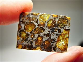 MUSEUM QUALITY CRYSTALS BRAHIN PALLASITE METEORITE 9.  1 GMS 6