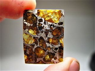 MUSEUM QUALITY CRYSTALS BRAHIN PALLASITE METEORITE 9.  1 GMS 7