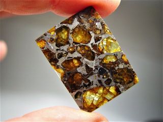 MUSEUM QUALITY CRYSTALS BRAHIN PALLASITE METEORITE 9.  1 GMS 8