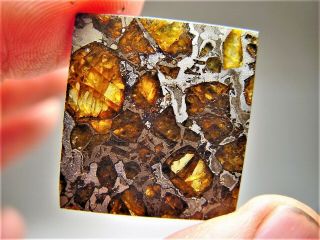 Museum Quality Crystals Brahin Pallasite Meteorite 7.  8 Gms
