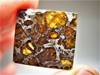MUSEUM QUALITY CRYSTALS BRAHIN PALLASITE METEORITE 7.  8 GMS 2