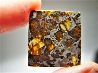 MUSEUM QUALITY CRYSTALS BRAHIN PALLASITE METEORITE 7.  8 GMS 5