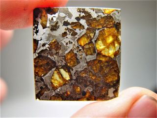 MUSEUM QUALITY CRYSTALS BRAHIN PALLASITE METEORITE 7.  8 GMS 6