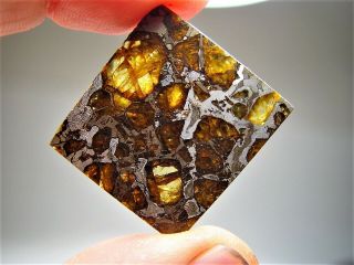 MUSEUM QUALITY CRYSTALS BRAHIN PALLASITE METEORITE 7.  8 GMS 8