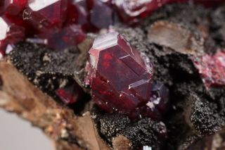 CLASSIC Cuprite Crystal Cluster CORNWALL,  ENGLAND - Ex.  Belsky 11