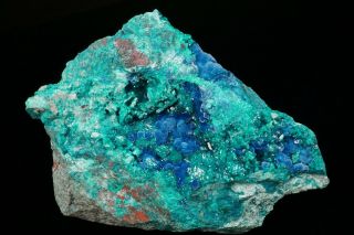 Extraordinary Shattuckite & Dioptase Crystal Cluster Milpillas Mine,  Mexico