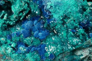 EXTRAORDINARY Shattuckite & Dioptase Crystal Cluster MILPILLAS MINE,  MEXICO 2