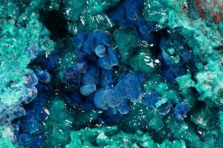 EXTRAORDINARY Shattuckite & Dioptase Crystal Cluster MILPILLAS MINE,  MEXICO 3