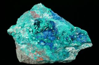 EXTRAORDINARY Shattuckite & Dioptase Crystal Cluster MILPILLAS MINE,  MEXICO 4