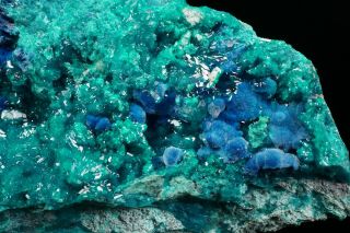 EXTRAORDINARY Shattuckite & Dioptase Crystal Cluster MILPILLAS MINE,  MEXICO 7