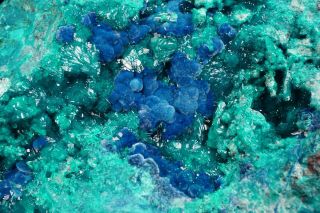 EXTRAORDINARY Shattuckite & Dioptase Crystal Cluster MILPILLAS MINE,  MEXICO 9