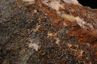 VERY RARE LOCALE Native Gold on Magnetite MARYLAND - Ex.  Parker 12